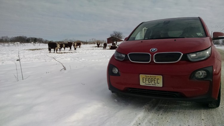 The i3 is more than capable in cold weather. However owners need to understand, and plan for the affects that the cold has on battery performance.