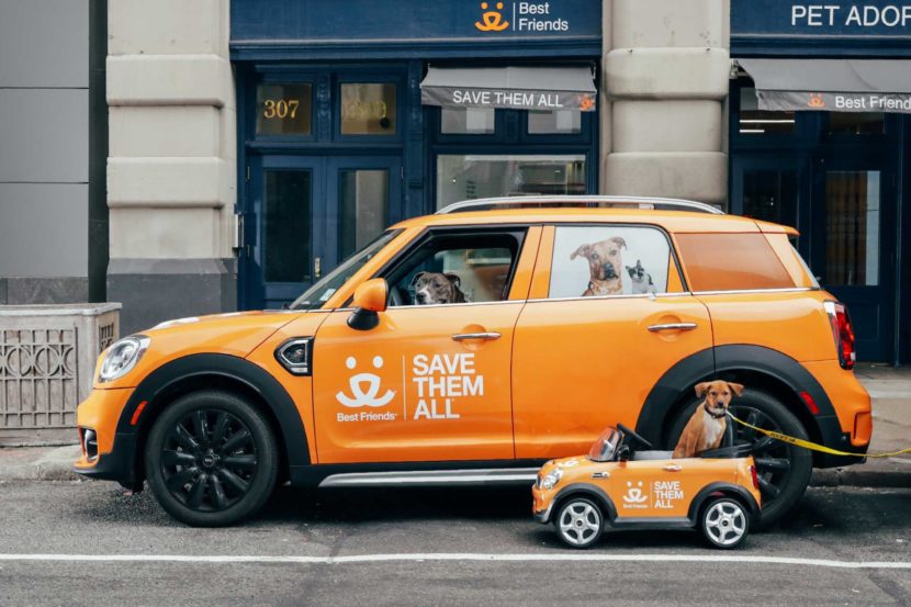 MINI to hold event dedicated to dog adoption in Manhattan