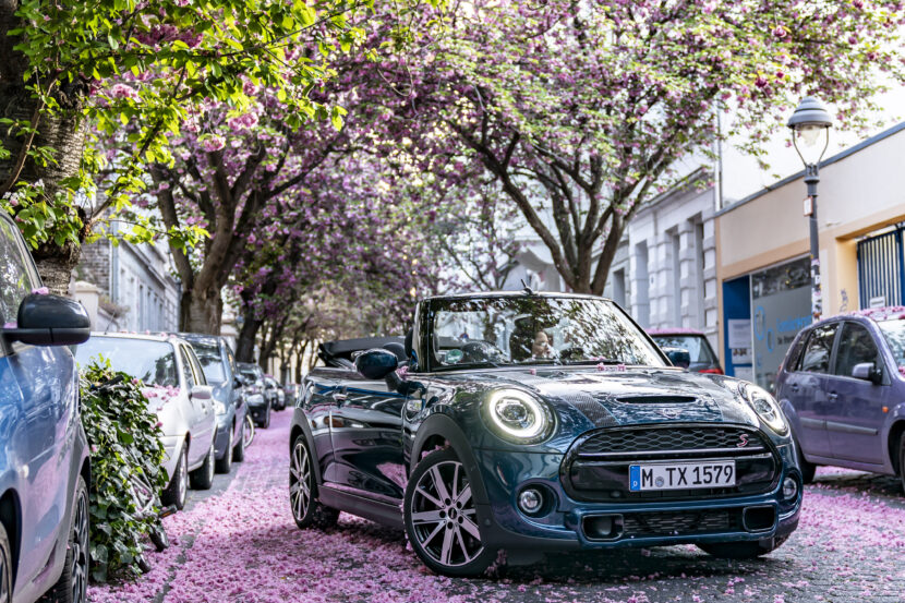 Photo Gallery: MINI Convertible Sidewalk poses with cherry blossom