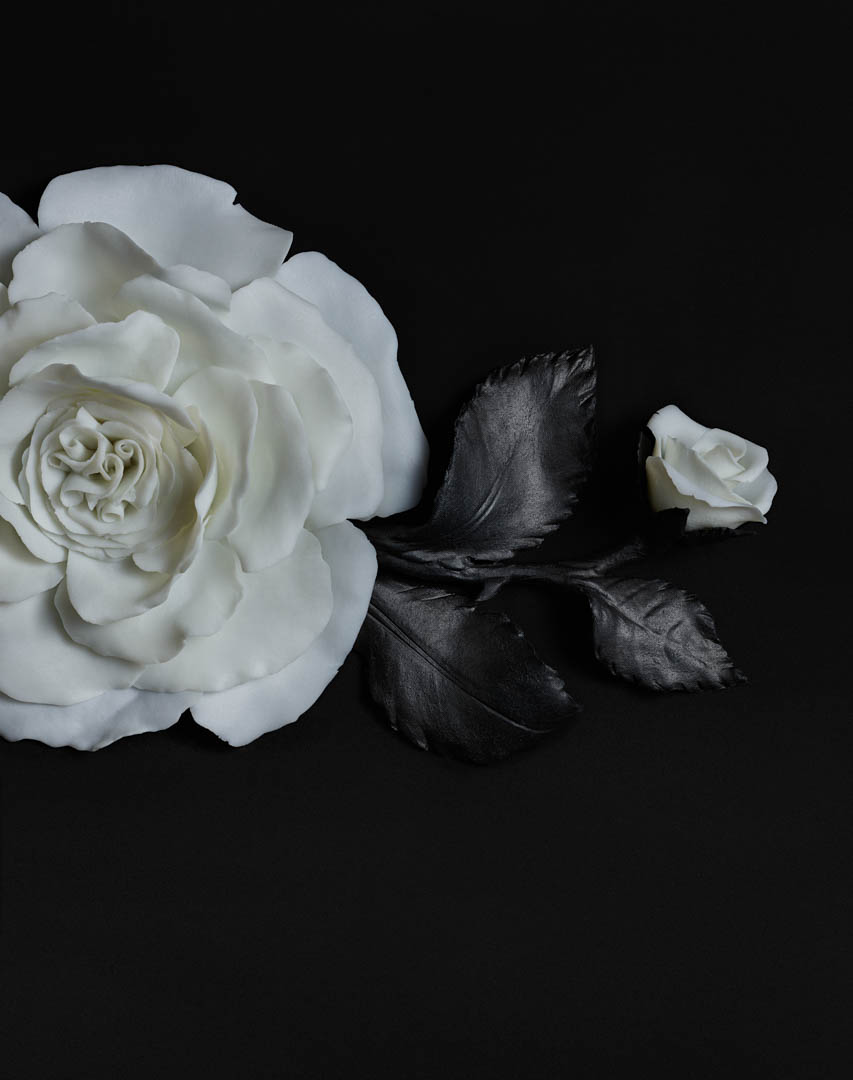 White Flower Images
