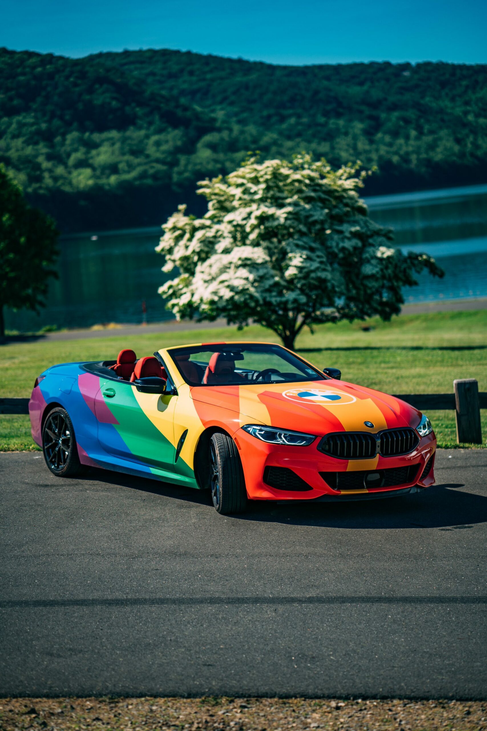 Driven by Pride BMW