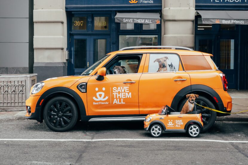 MINI to pay all adoption fees at Best Friends Society ahead of the holidays