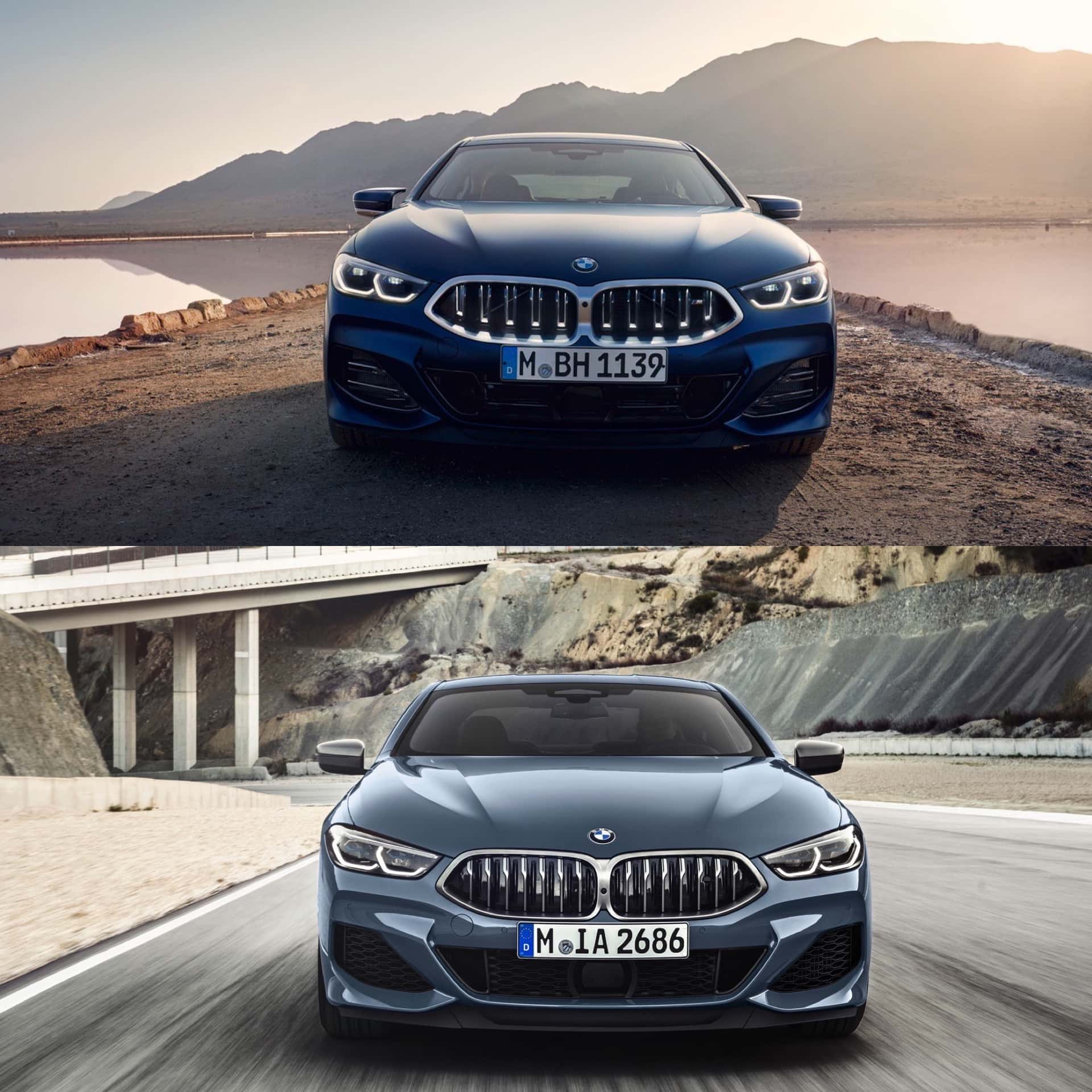 bmw 8 series vs m8