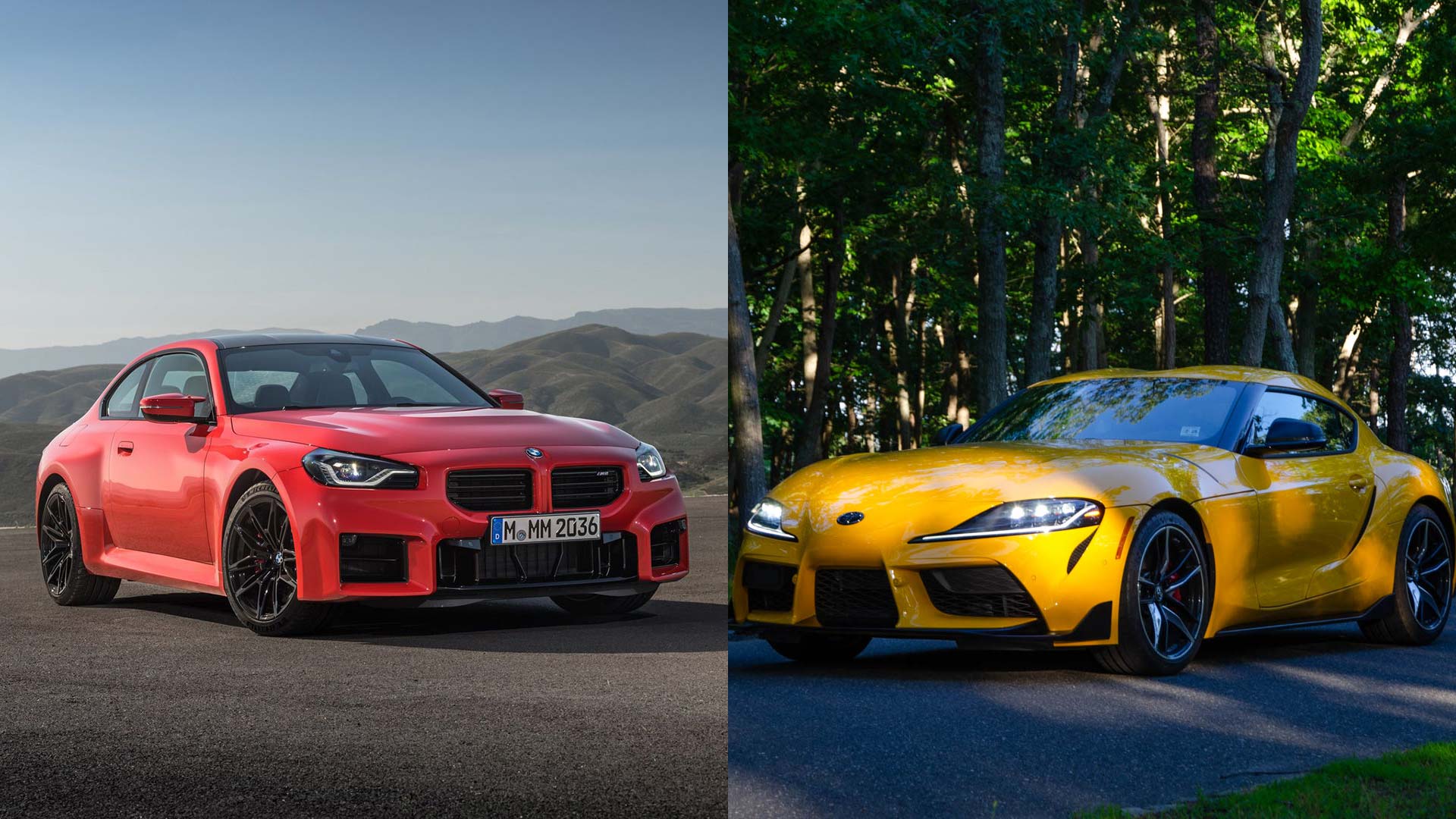 Which Manual is the Better Value?
