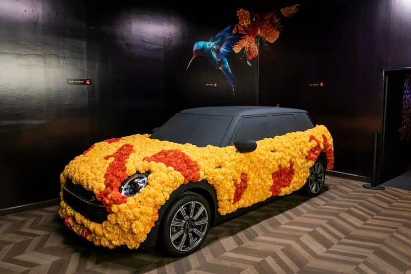MINI Clubman covered with Mexican Marigold Flowers 1 830x553