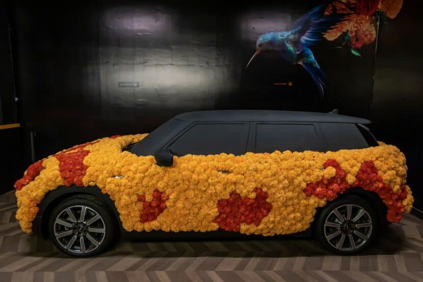 MINI Clubman covered with Mexican Marigold Flowers 3 830x553