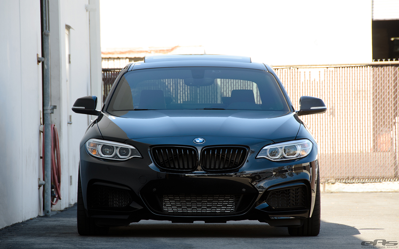 Clean Blacked out BMW M235i Build 5